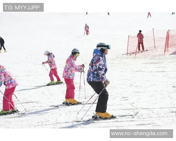 最新体育动态：从球场到更衣室全了解